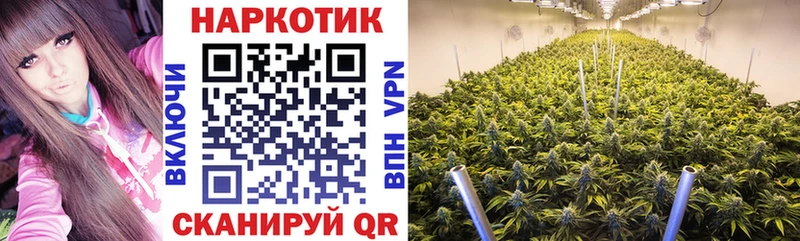 Купить закладку ГАШ  Alpha PVP  Меф  Амфетамин  COCAIN  Камешково