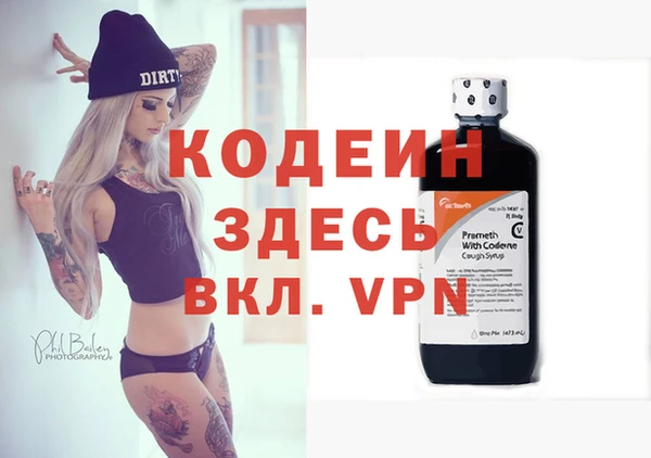 стаф Ельня