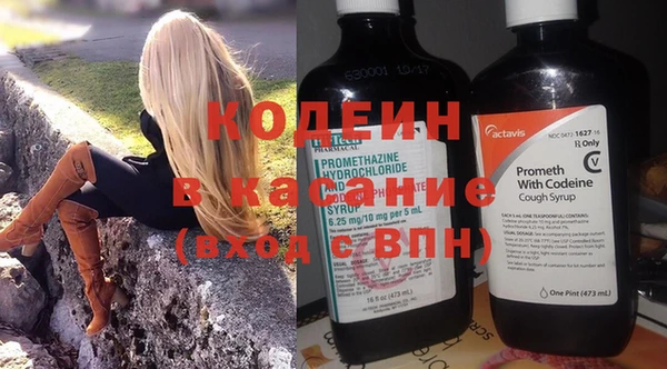 дмт Елабуга