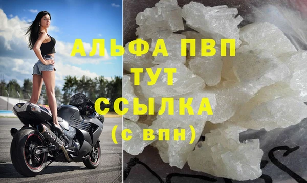 стаф Ельня