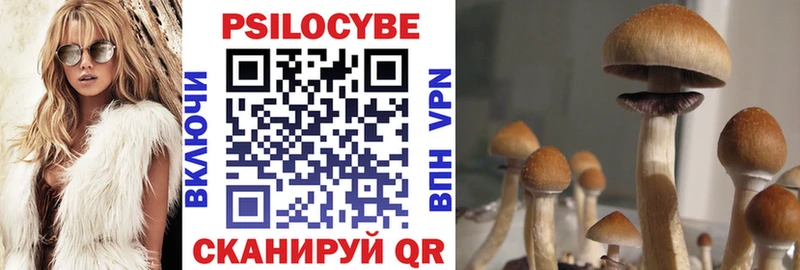 Купить закладки Камешково Галлюциногенные грибы Magic Shrooms